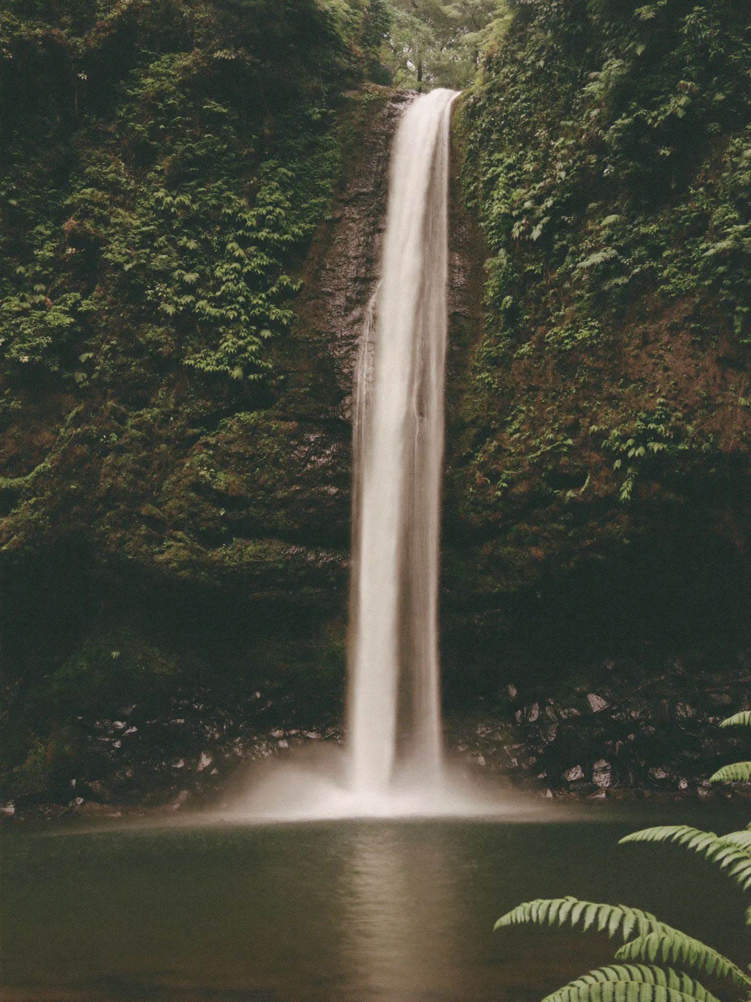 The falls