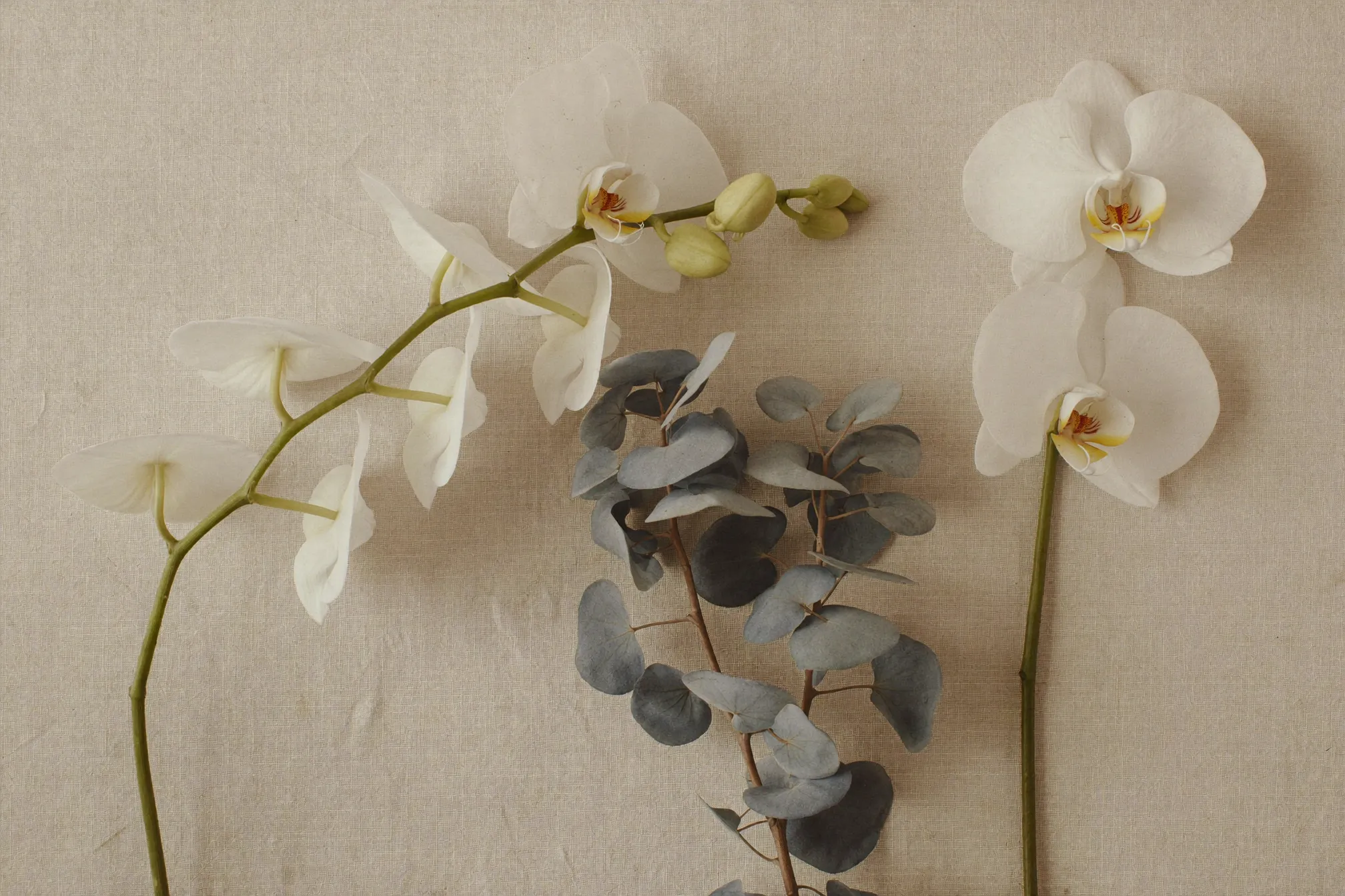 The flowers