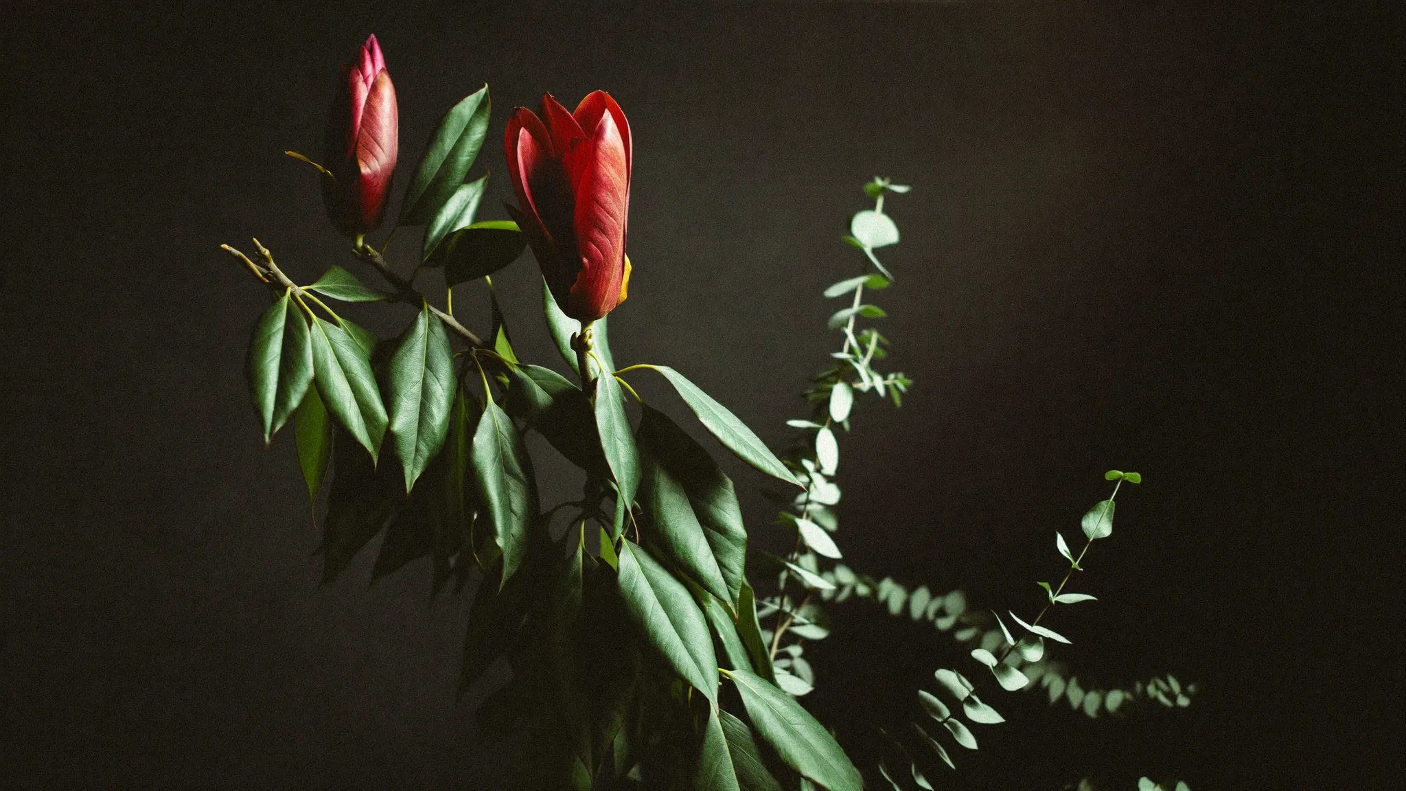 The altar flowers